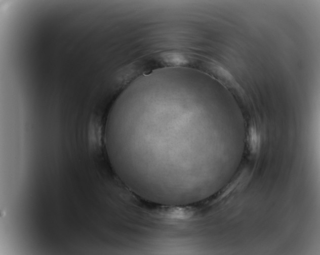 X0000090490330200707201542