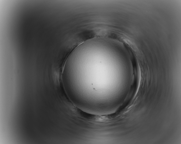 X0000090490333200707201542