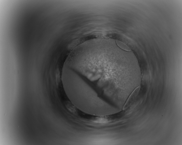 X0000090490335200707201542