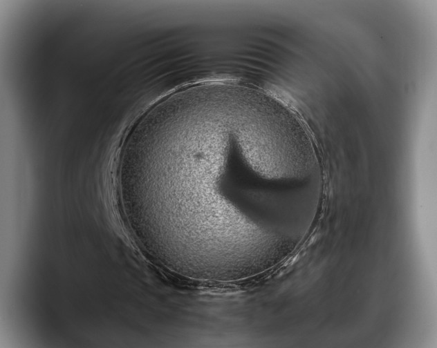 X0000090490337200707201541