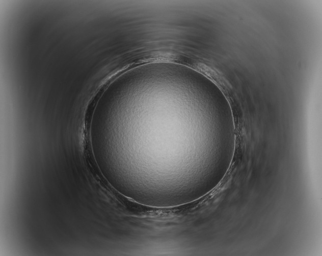 X0000090490338200707201541