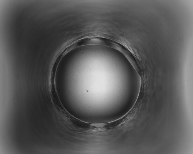 X0000090490340200707201541