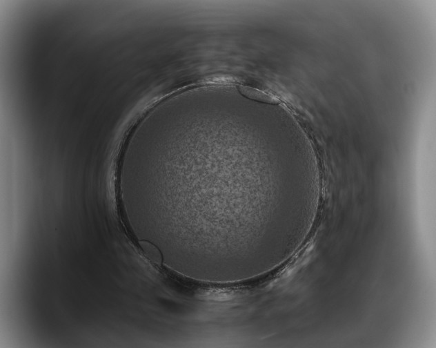 X0000090490341200707201541