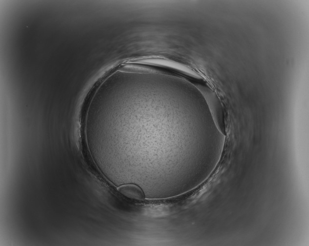 X0000090490342200707201541
