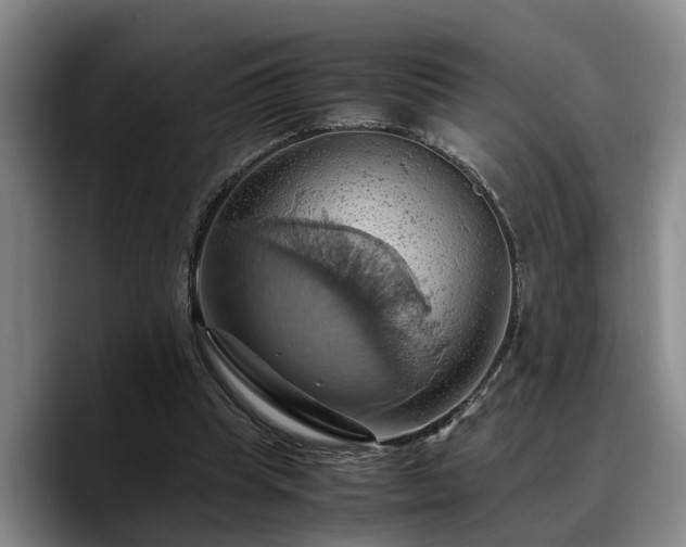 X0000090490345200707201541