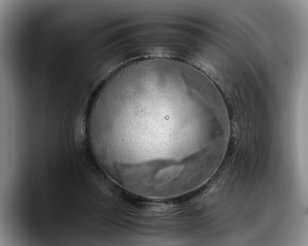 X0000090490347200707201541