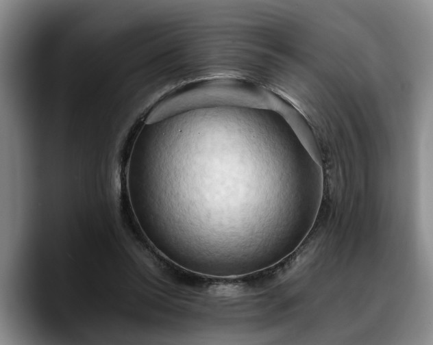 X0000090490350200707201541