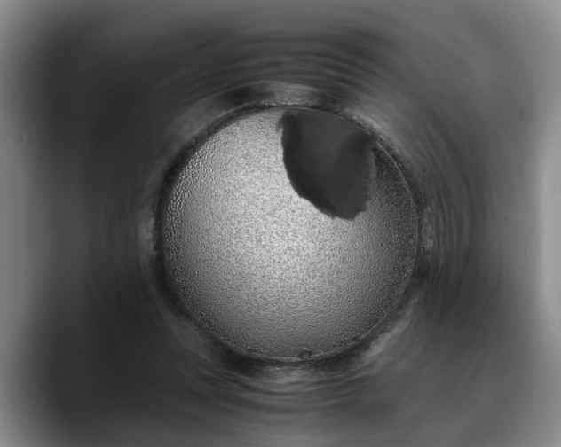 X0000090490351200707201541