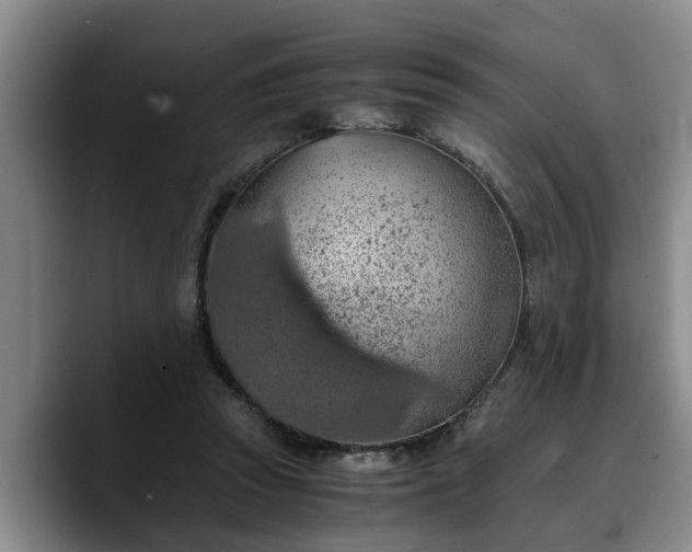 X0000090490353200707201541