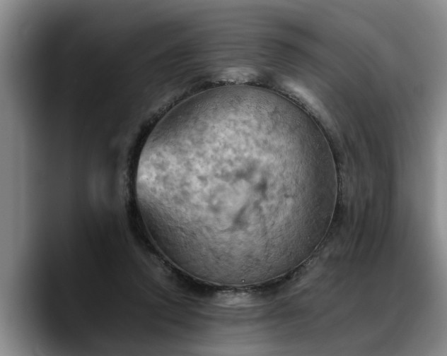 X0000090490354200707201541