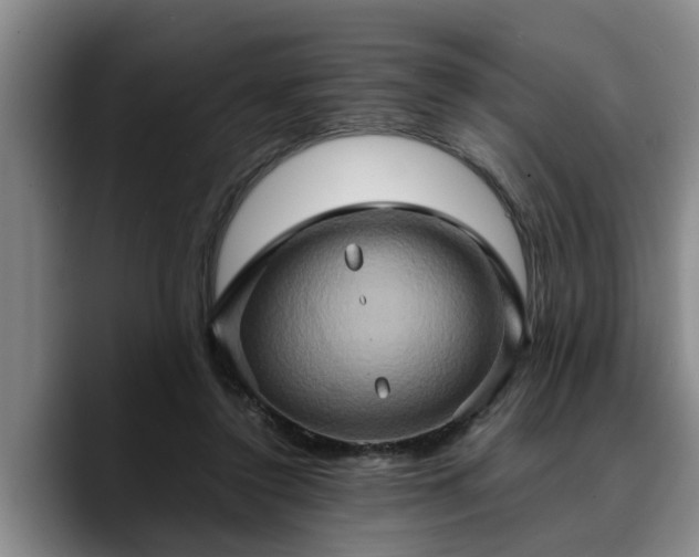 X0000090490356200707201541