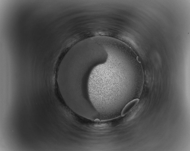 X0000090490357200707201541