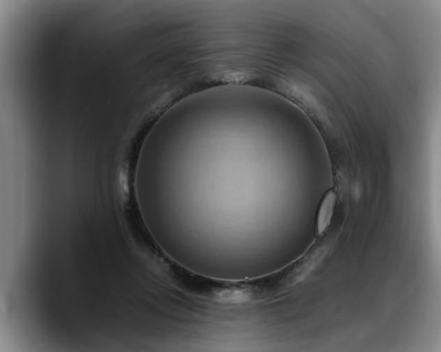 X0000090490358200707201541