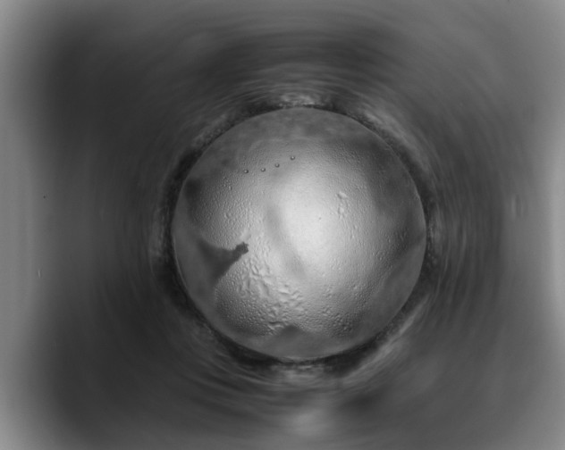 X0000090490359200707201541
