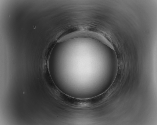 X0000090490360200707201541