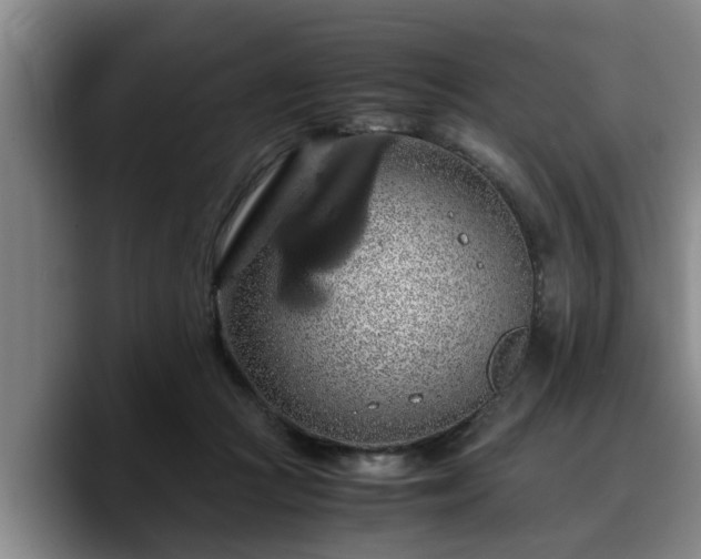 X0000090490361200707201541