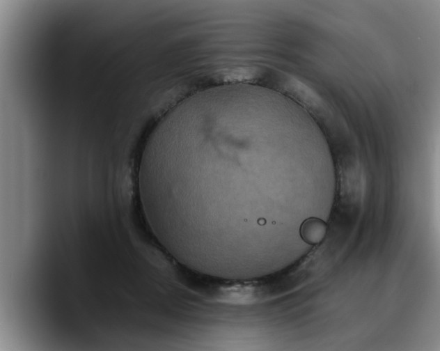 X0000090490362200707201541