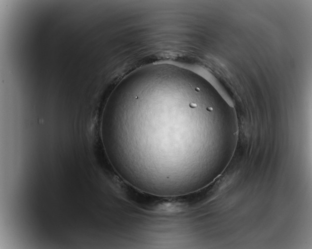 X0000090490364200707201541