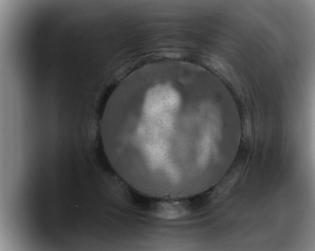 X0000090490367200707201541