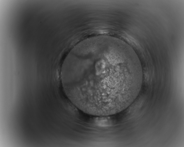 X0000090490373200707201541