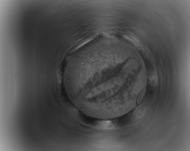 X0000090490374200707201541