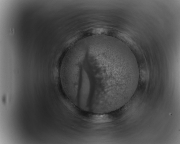X0000090490375200707201541