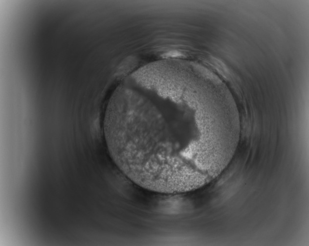 X0000090490377200707201541
