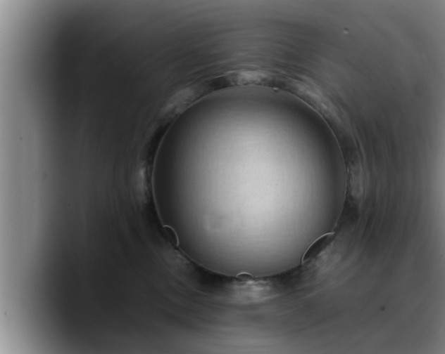 X0000090490378200707201541