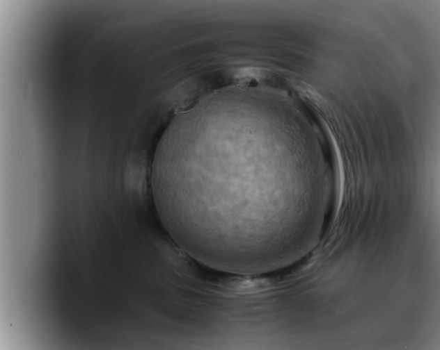 X0000090490379200707201541