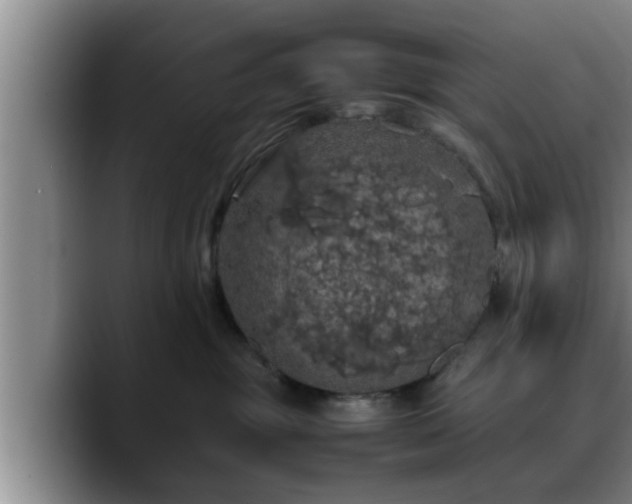 X0000090490381200707201542