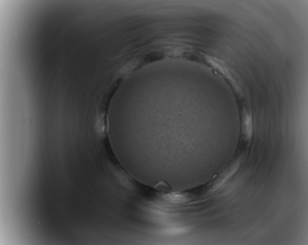 X0000090490383200707201542