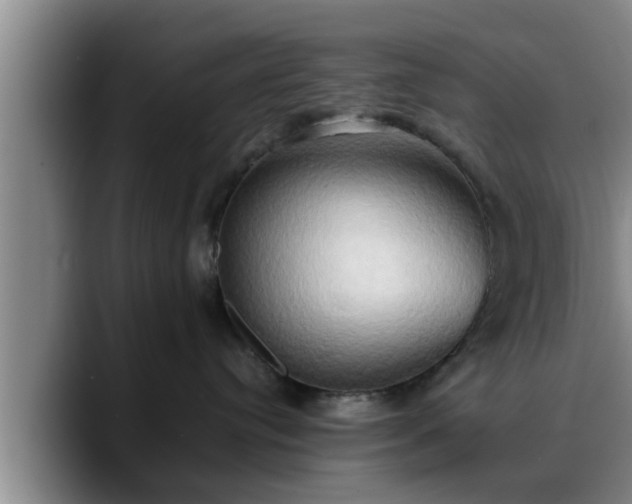 X0000090490384200707201542