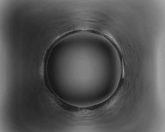 X0000090490387200707201541