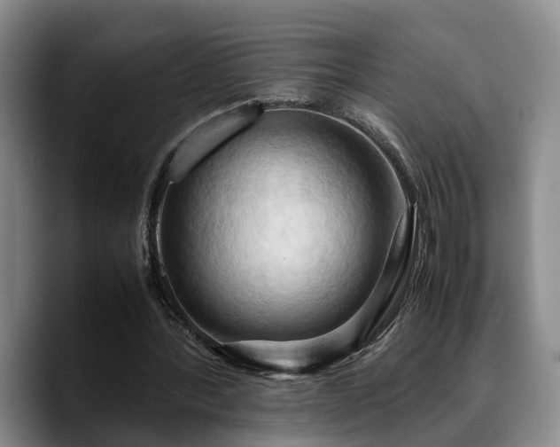 X0000090490388200707201541