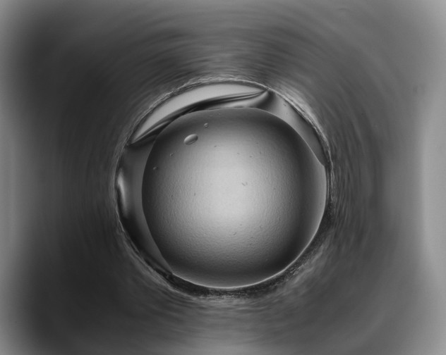 X0000090490389200707201541