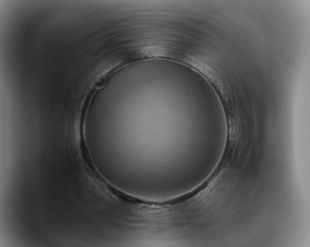 X0000090490390200707201541