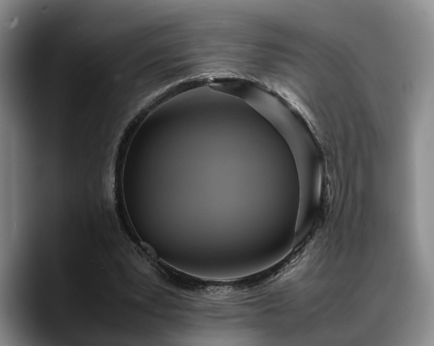 X0000090490391200707201541