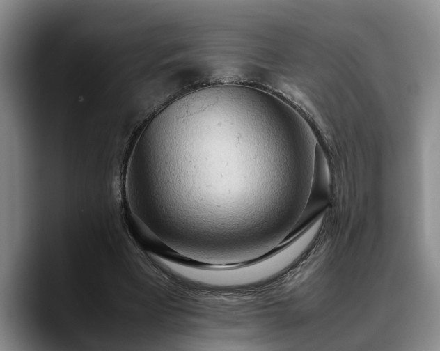 X0000090490393200707201541