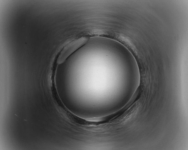 X0000090490395200707201541