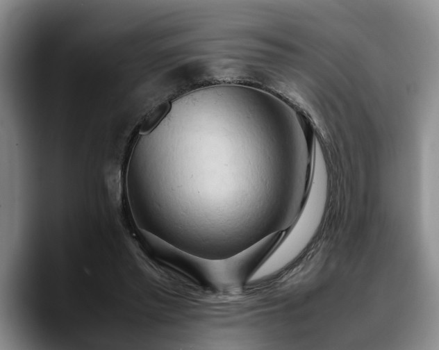X0000090490397200707201541