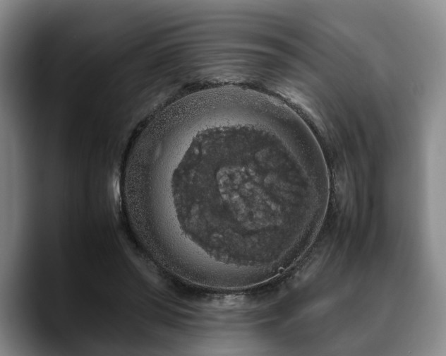 X0000090490398200707201541