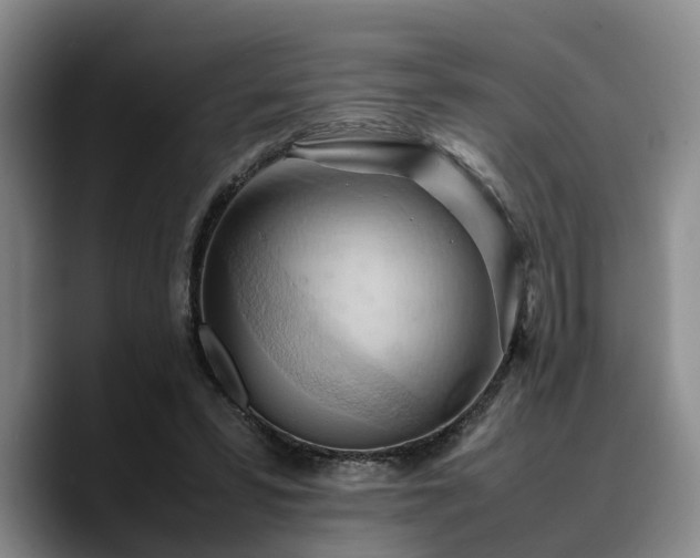 X0000090490399200707201541