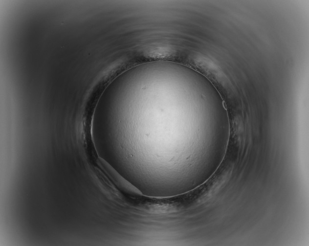 X0000090490400200707201541