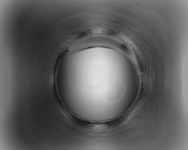 X0000090490401200707201541