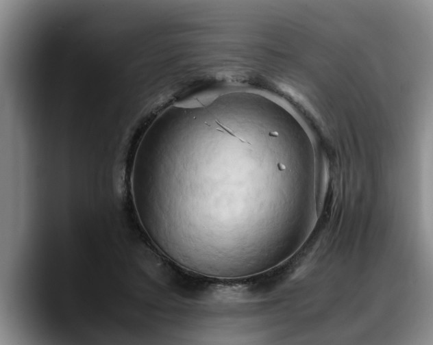X0000090490403200707201541
