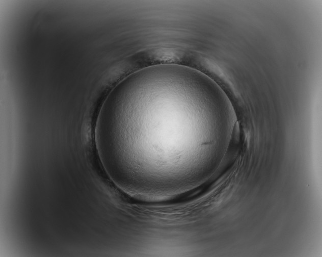 X0000090490407200707201541