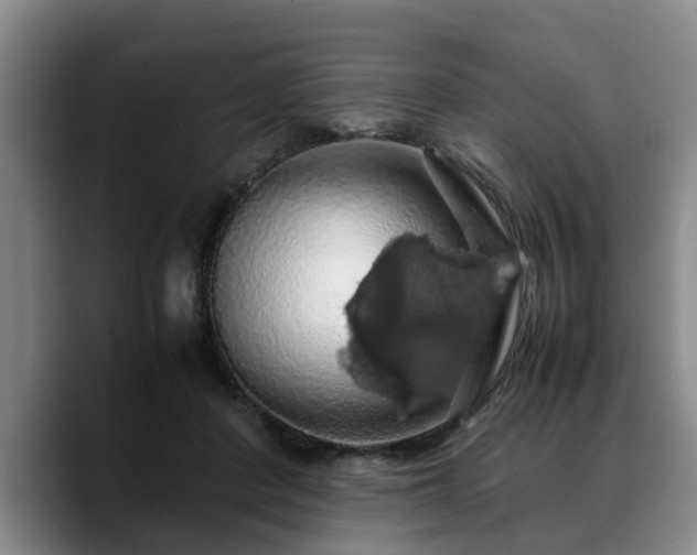 X0000090490408200707201541