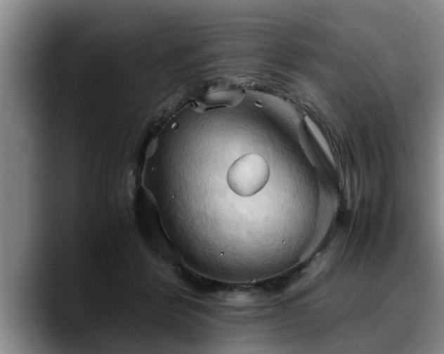 X0000090490412200707201541