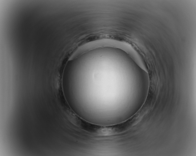 X0000090490413200707201541