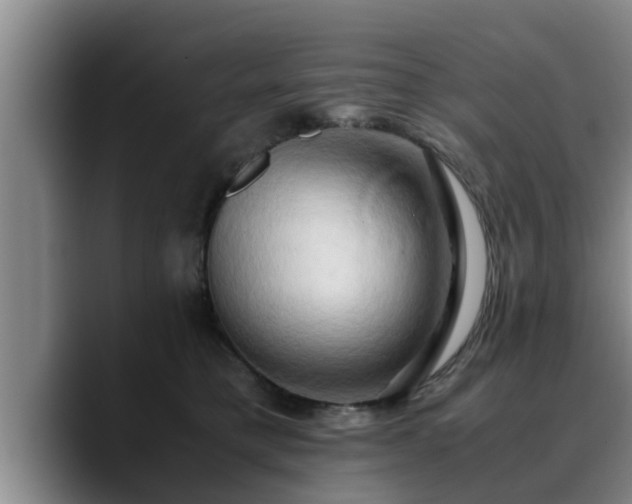 X0000090490421200707201541